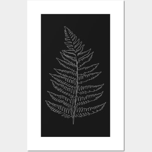 FERN Posters and Art